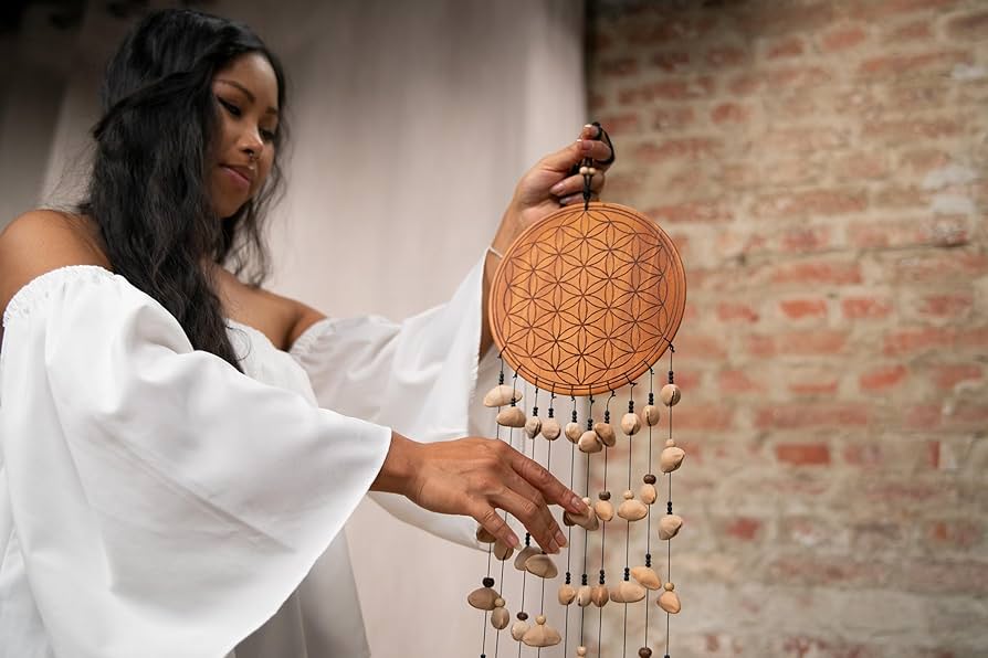 Amazon.com: Meinl Sonic Energy Mediation Seed Shell Chimes